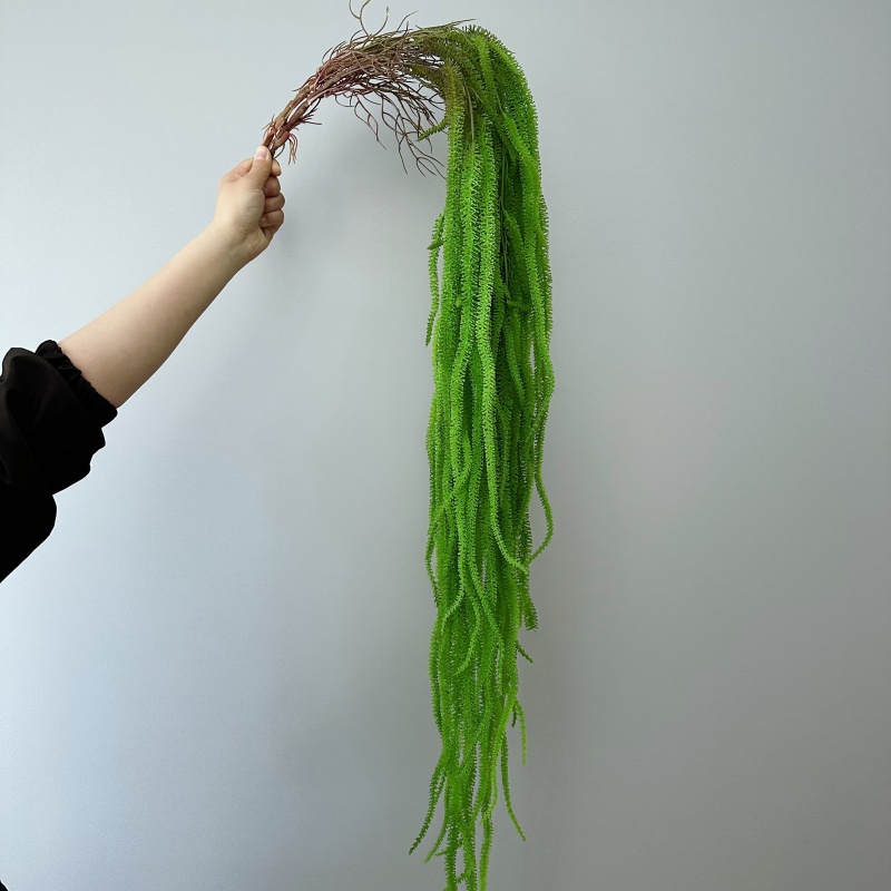 Monstera Adansonii - Artificial Willow Beard Versatile 41.73
