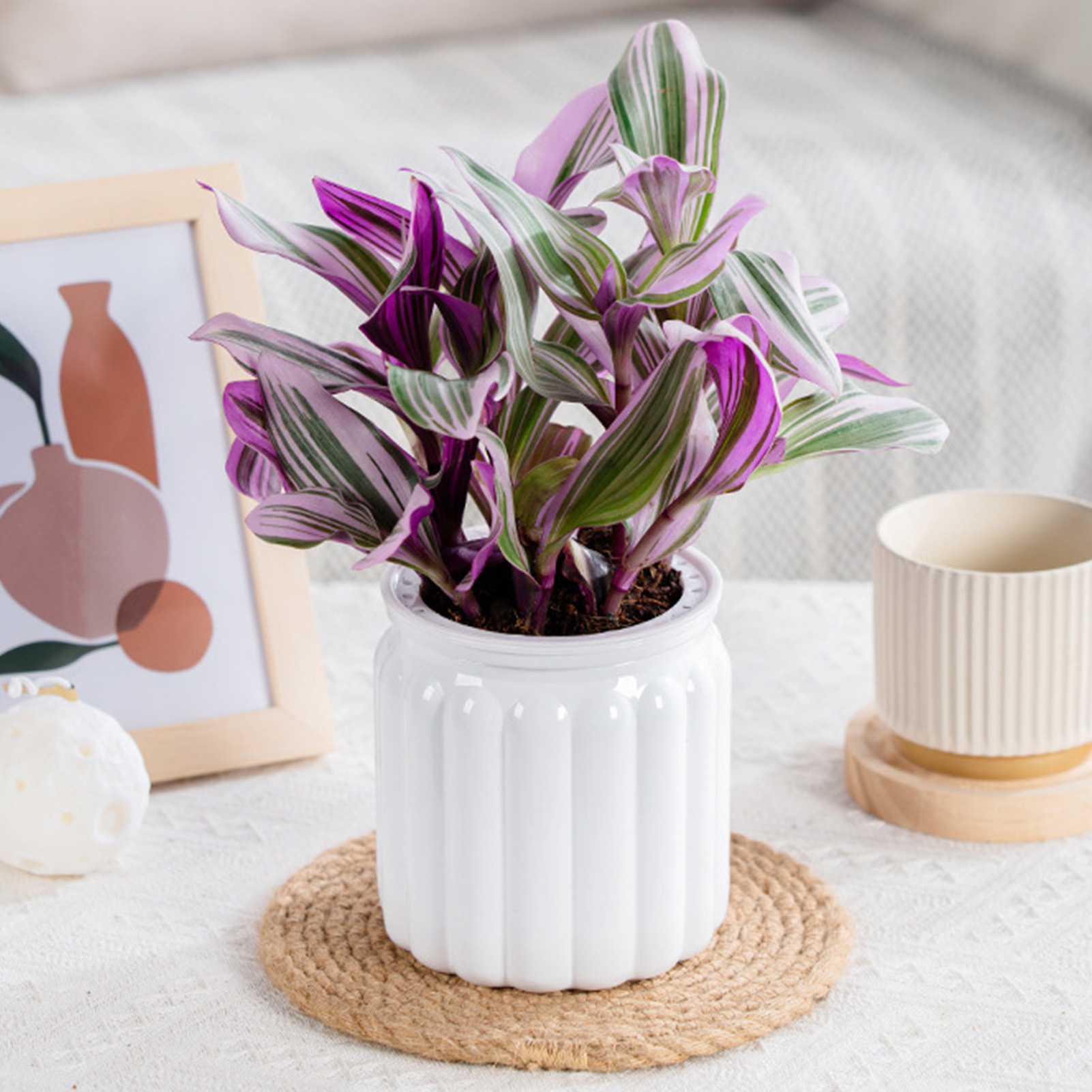 Aloe Vera Pot - Lazy Hydroponic Flower Pot Automatic Water-Absorbing
