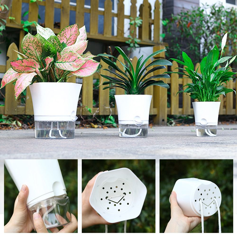 Aloe Vera Pot - Transparent Double Layer Plastic Flower Pot