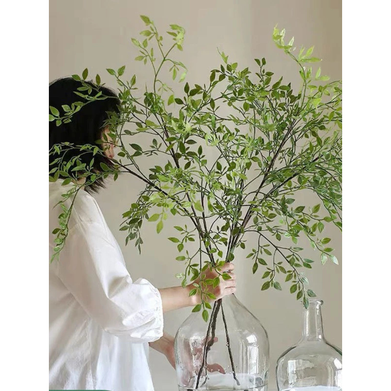 Dracaena Marginata - Artificial single branch3Artificial Green Plants with