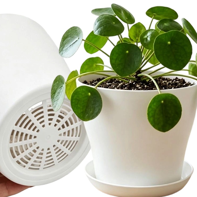 Aloe Vera Pot - Plant Pot Set with Drainage Holes
