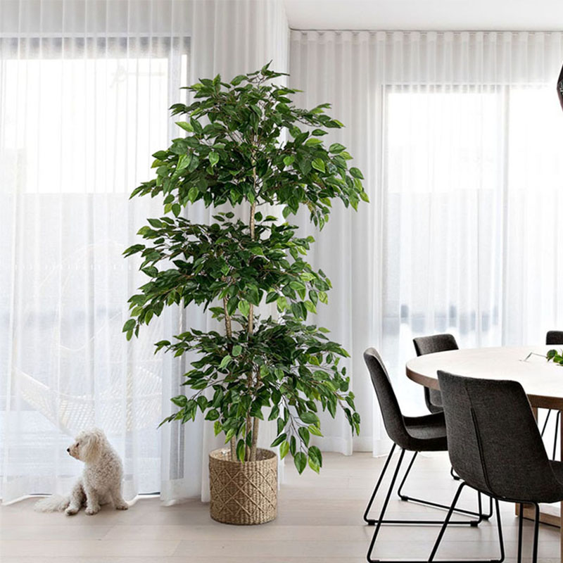 70in Ficus Artificial Tree Lar - Dracaena Marginata recension och pris