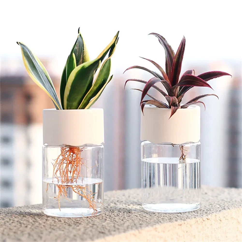 Mini Hydroponic Flower Pot Tra - Aloe Vera Pot recension och pris