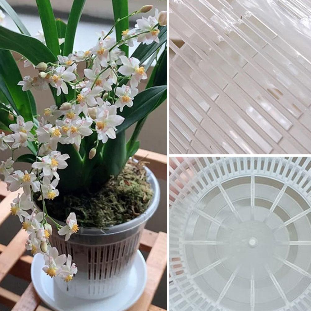 Mesh Pot Root Control Transpar - Aloe Vera Pot recension och pris