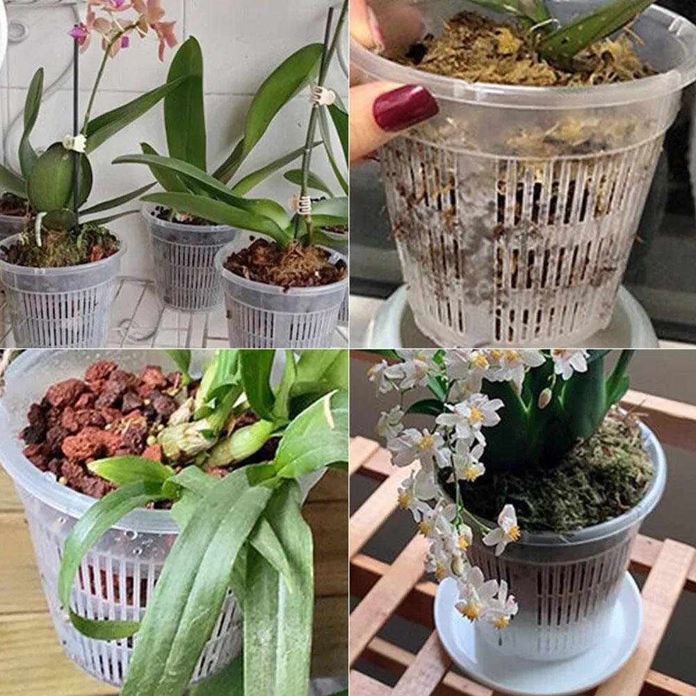 Mesh Pot Root Control Transpar - Aloe Vera Pot recension och pris