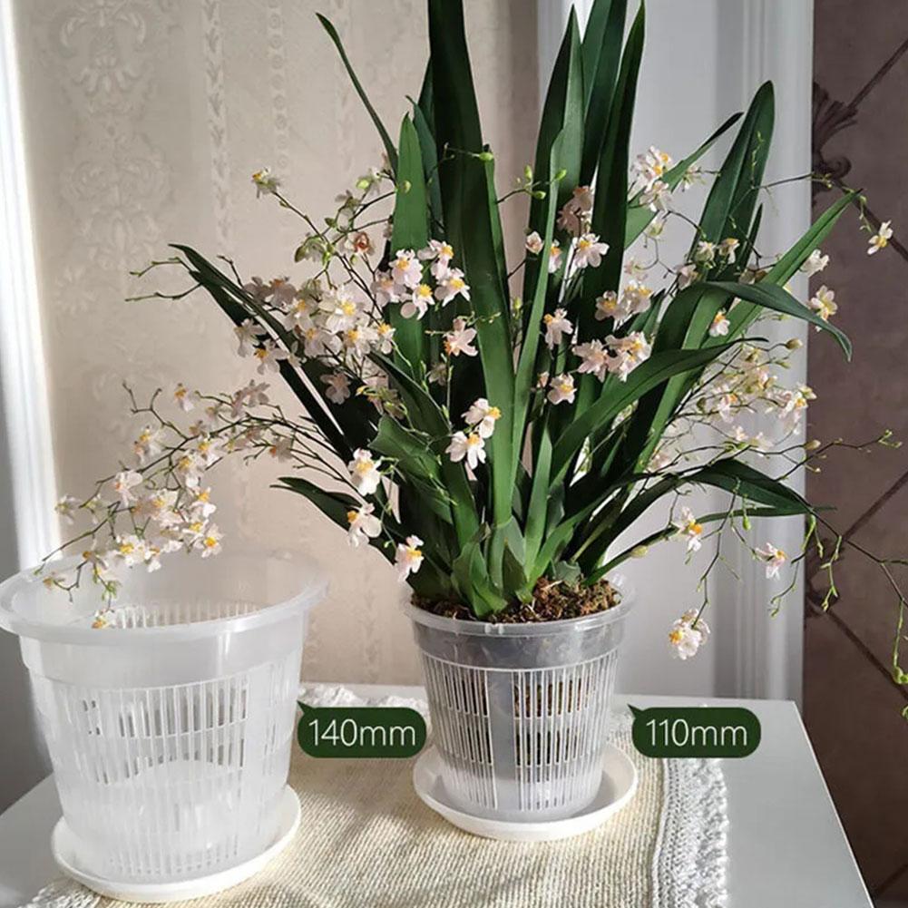 Mesh Pot Root Control Transpar - Aloe Vera Pot recension och pris