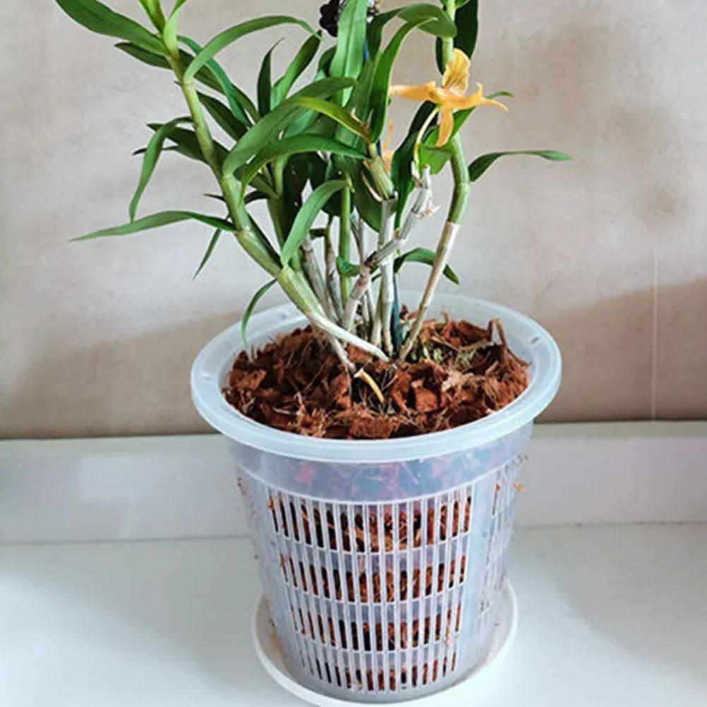 Mesh Pot Root Control Transpar - Aloe Vera Pot recension och pris