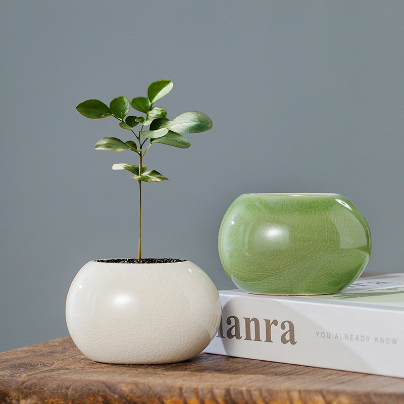 Ice Crack Glazed Ceramic Flowe - Aloe Vera Pot recension och pris