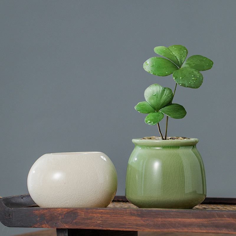 Ice Crack Glazed Ceramic Flowe - Aloe Vera Pot recension och pris