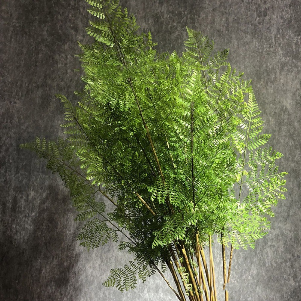 Realistic Artificial Fern Plan - Dracaena Marginata recension och pris