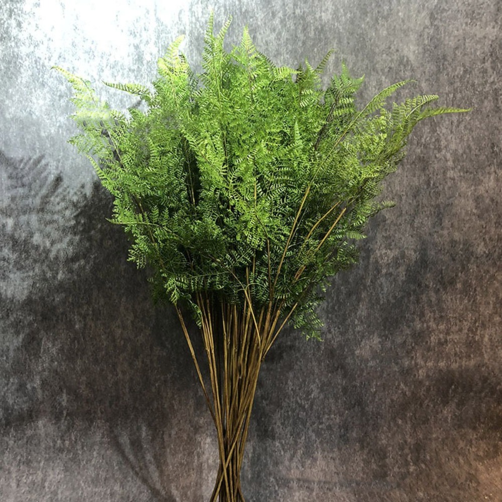 Realistic Artificial Fern Plan - Dracaena Marginata recension och pris