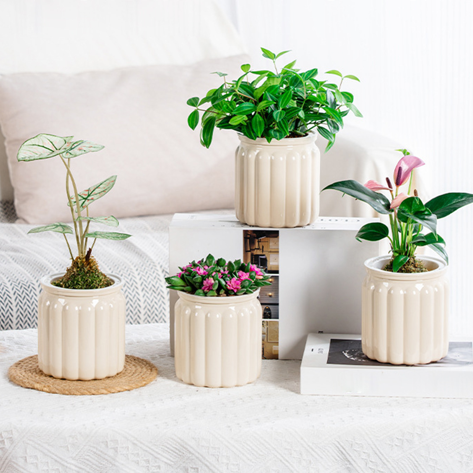 Lazy Hydroponic Flower Pot Aut - Aloe Vera Pot recension och pris
