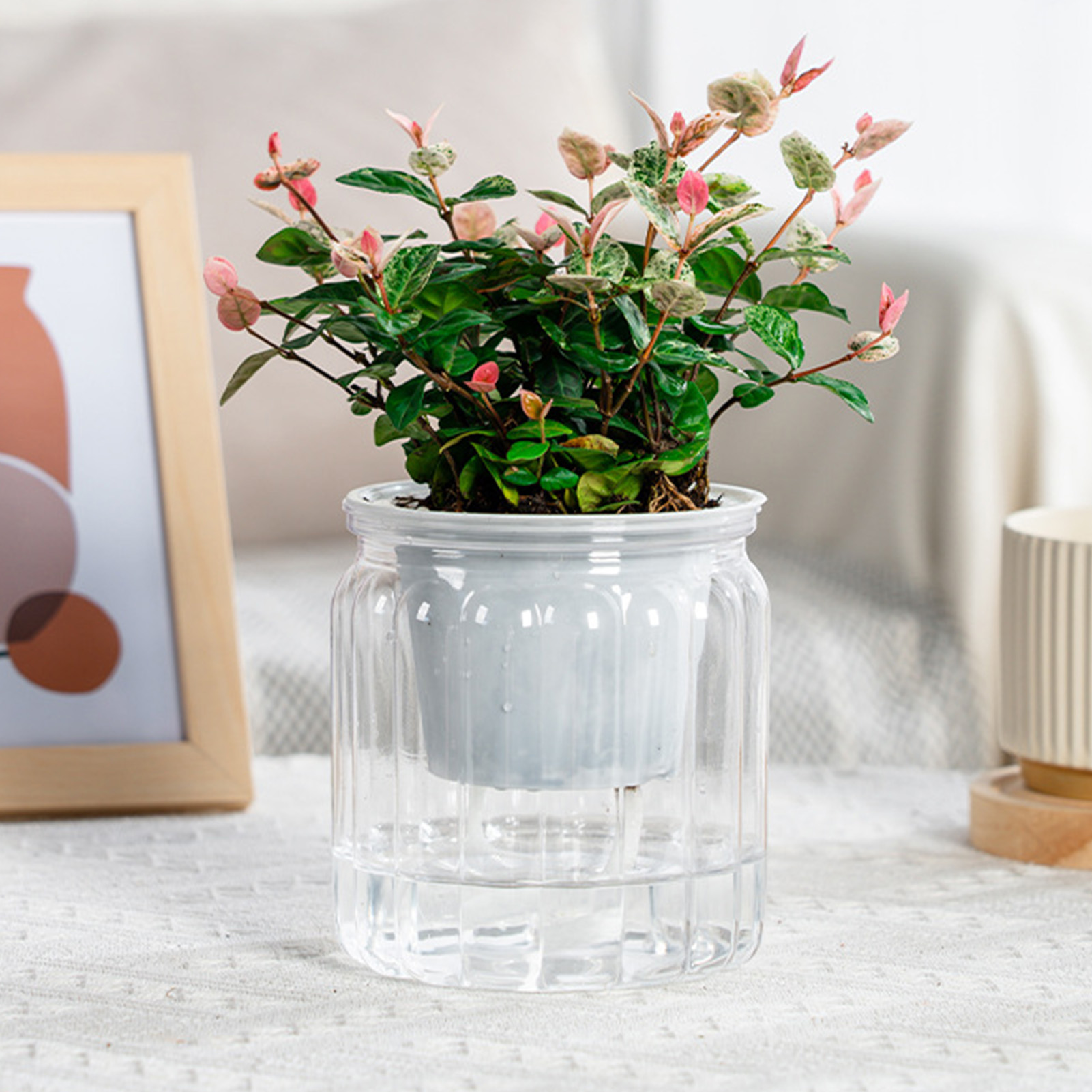 Lazy Hydroponic Flower Pot Aut - Aloe Vera Pot recension och pris