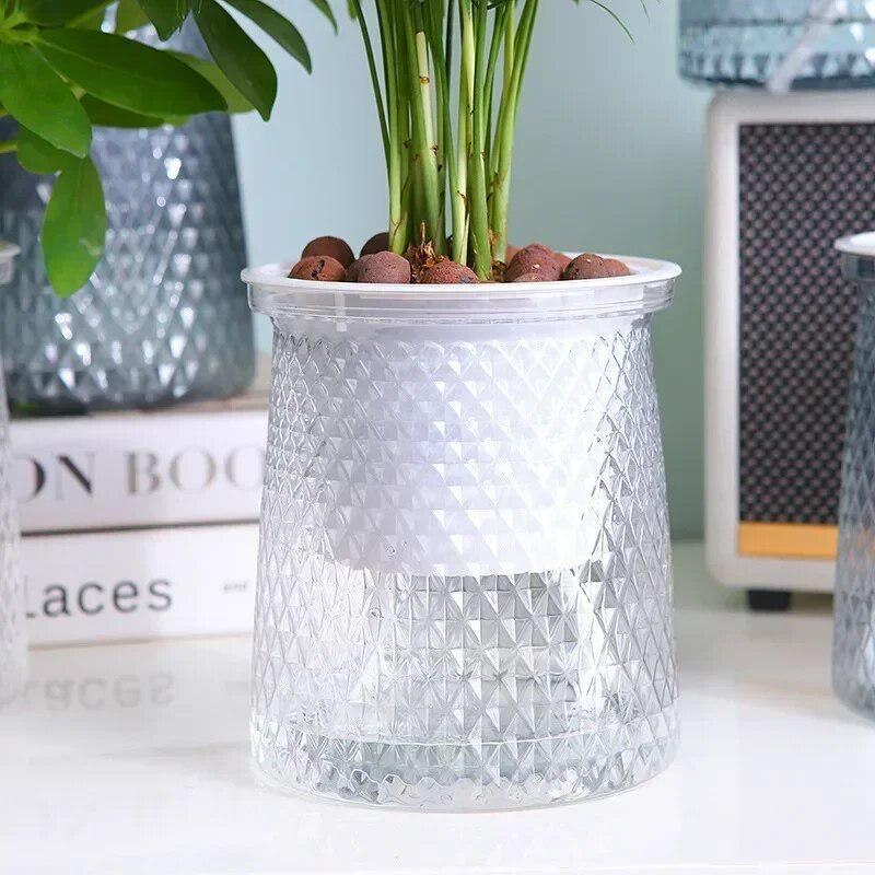 2024 Transparent Self Watering - Aloe Vera Pot recension och pris