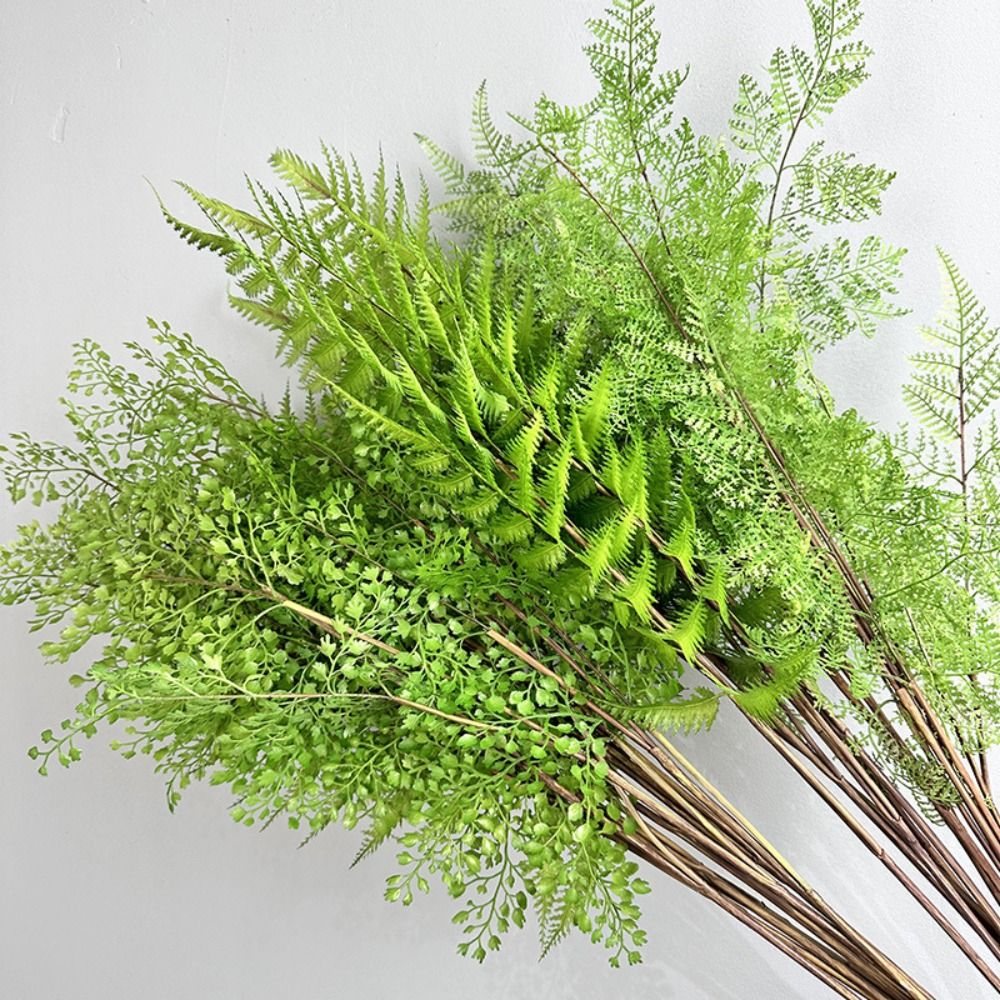 Realistic Artificial Fern Plan - Dracaena Marginata recension och pris