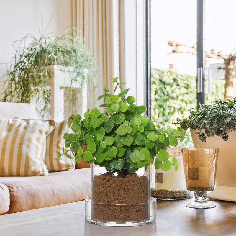 Clear Plant Pots With Drainage - Aloe Vera Pot recension och pris