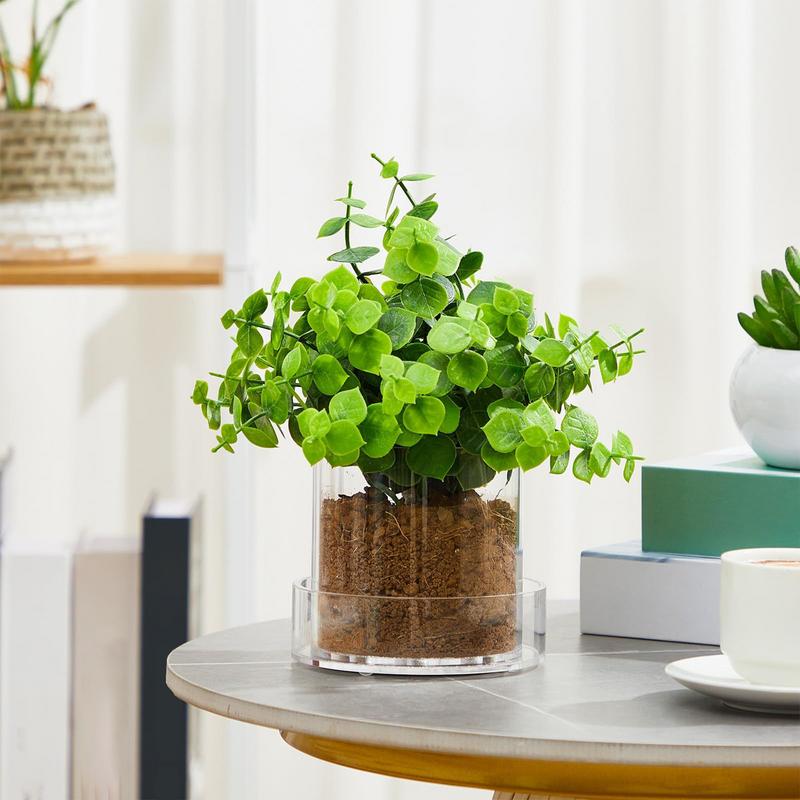 Clear Plant Pots With Drainage - Aloe Vera Pot recension och pris
