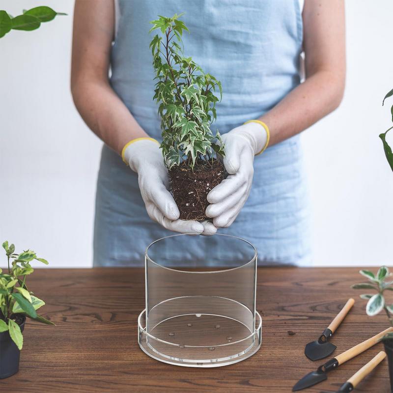 Clear Plant Pots With Drainage - Aloe Vera Pot recension och pris