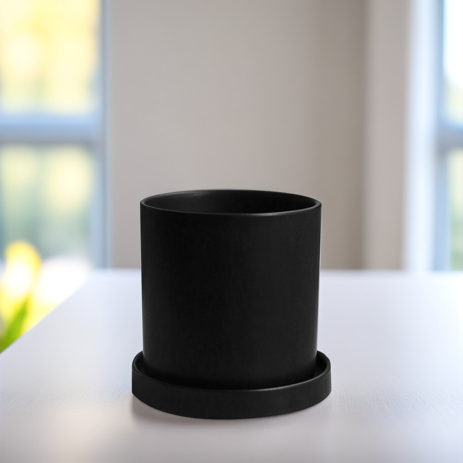 1Set Stylish Ceramic Pots with - Aloe Vera Pot recension och pris