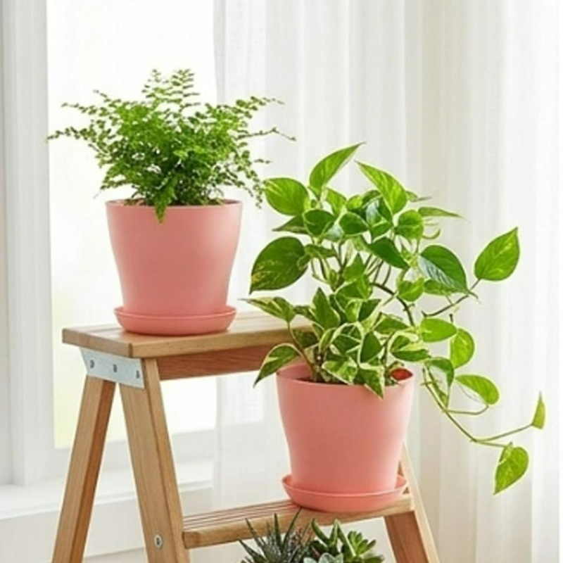 Plant Pot Set with Drainage Ho - Aloe Vera Pot recension och pris
